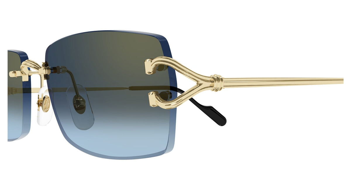 Cartier CT0550S 002