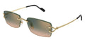 Cartier CT0550S 009