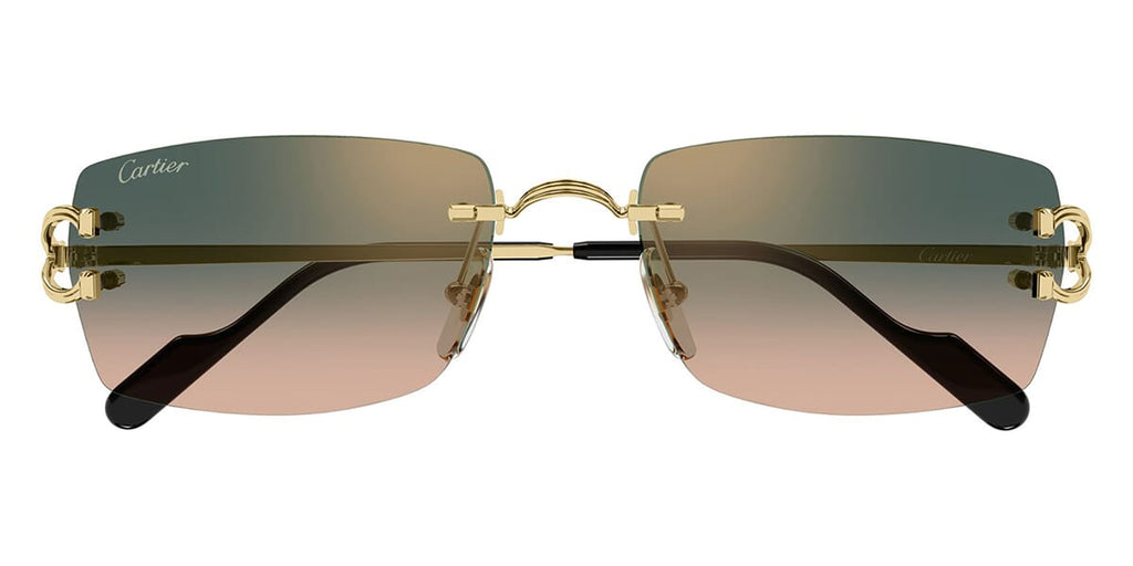 Cartier CT0550S 009