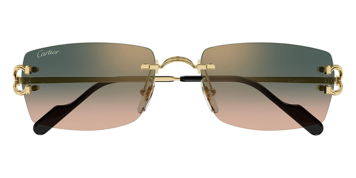 Cartier CT0550S 009