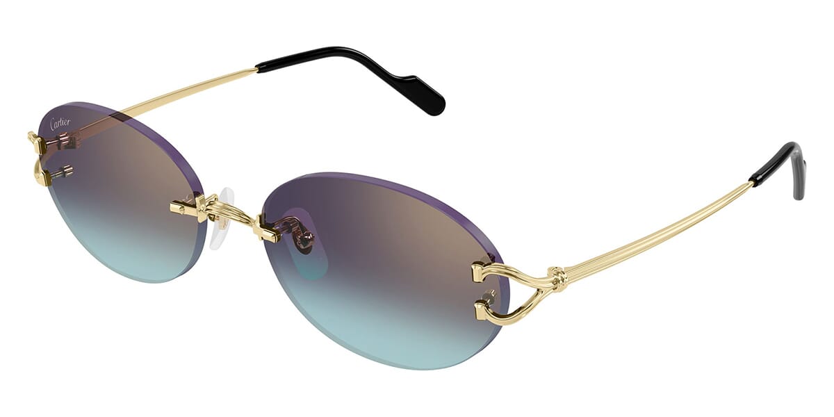 Cartier CT0551S 008