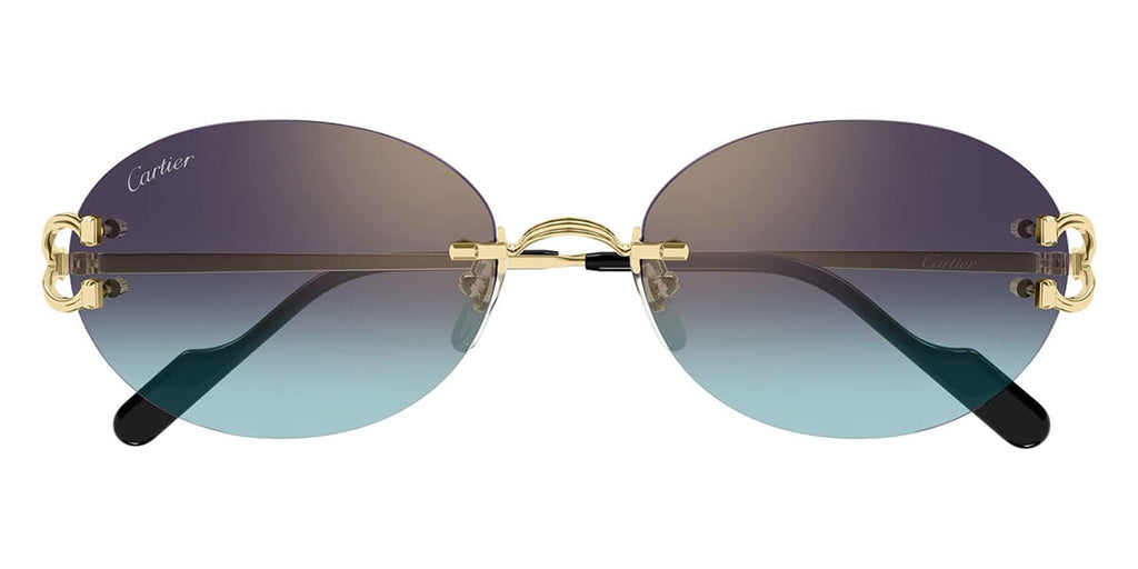 Cartier CT0551S 008
