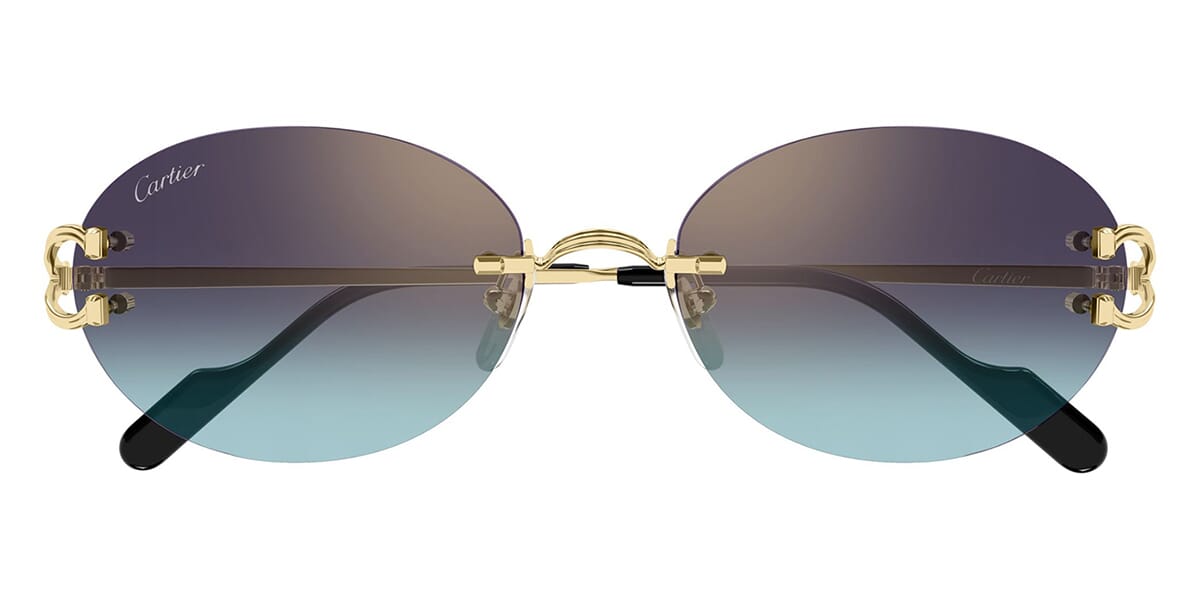 Cartier CT0551S 008