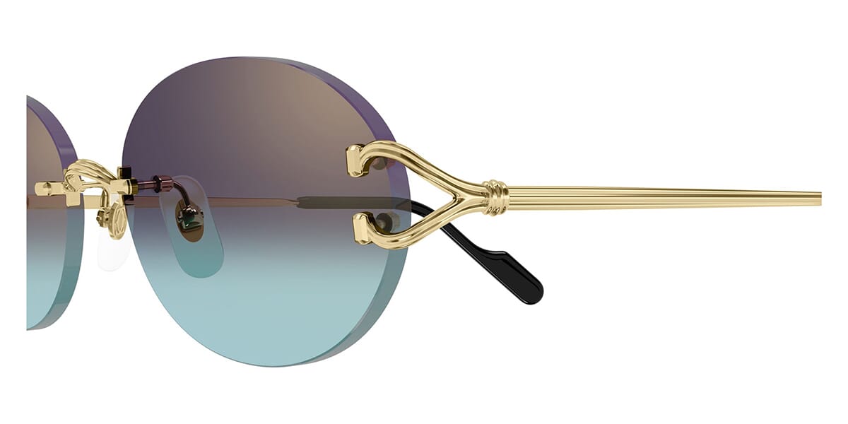 Cartier CT0551S 008