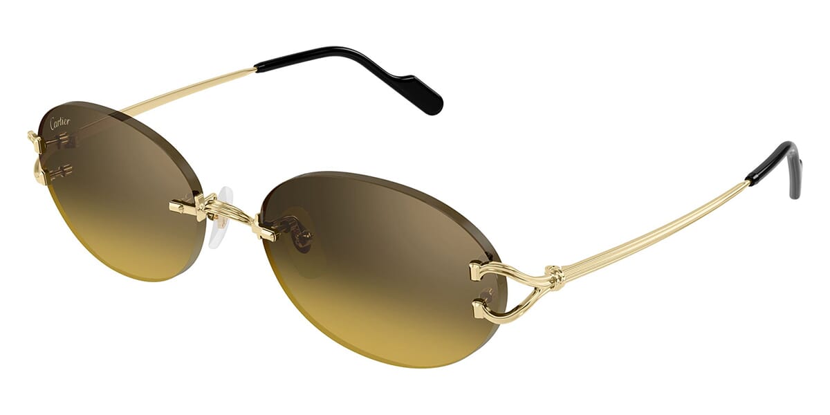 Cartier CT0551S 009