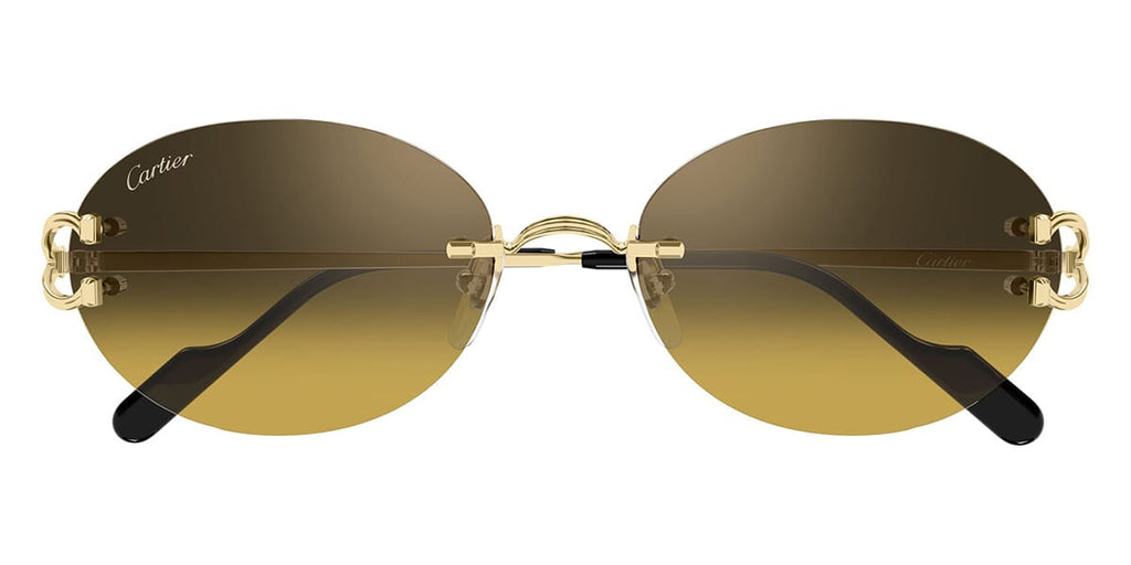 Cartier CT0551S 009