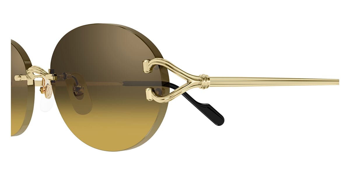 Cartier CT0551S 009