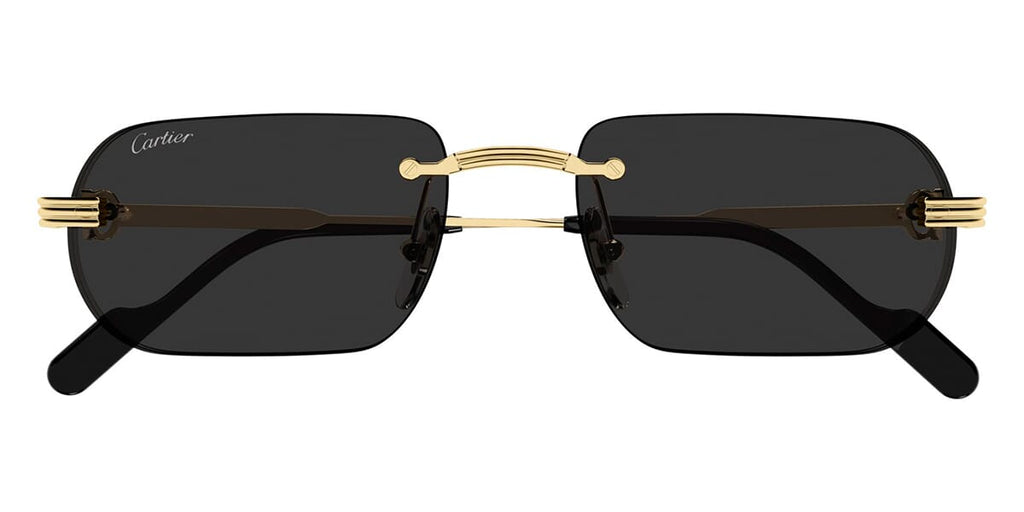 Cartier CT0577S 001