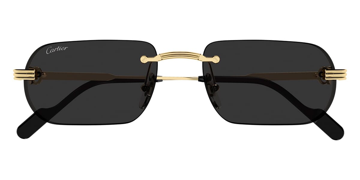 Cartier CT0577S 001