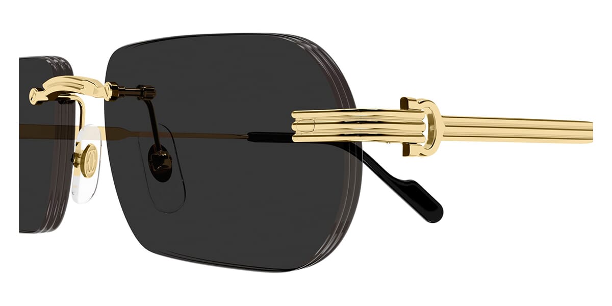 Cartier CT0577S 001