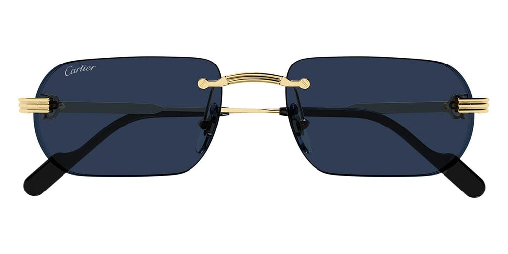 Cartier CT0577S 003