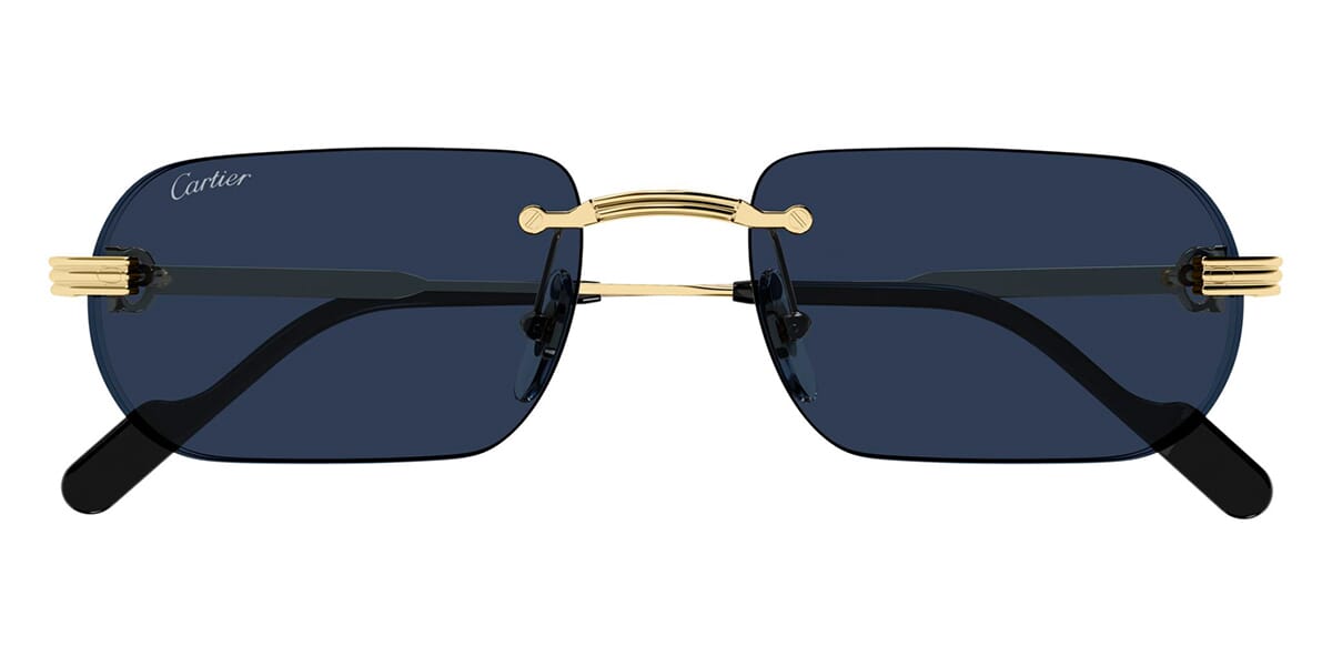 Cartier CT0577S 003