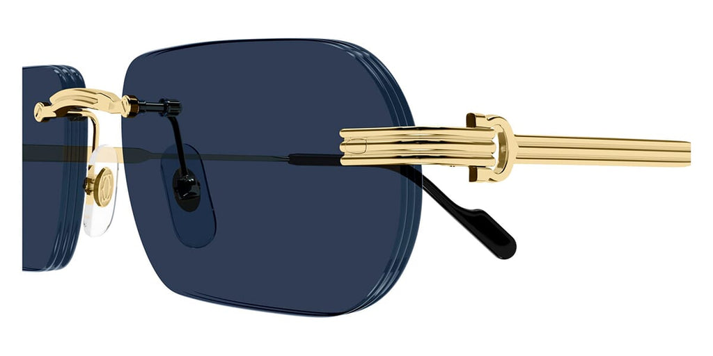 Cartier CT0577S 003