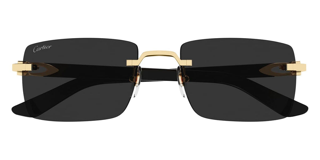 Cartier CT0579S 001 - As Seen On Wu Chun & Guè Pequeno