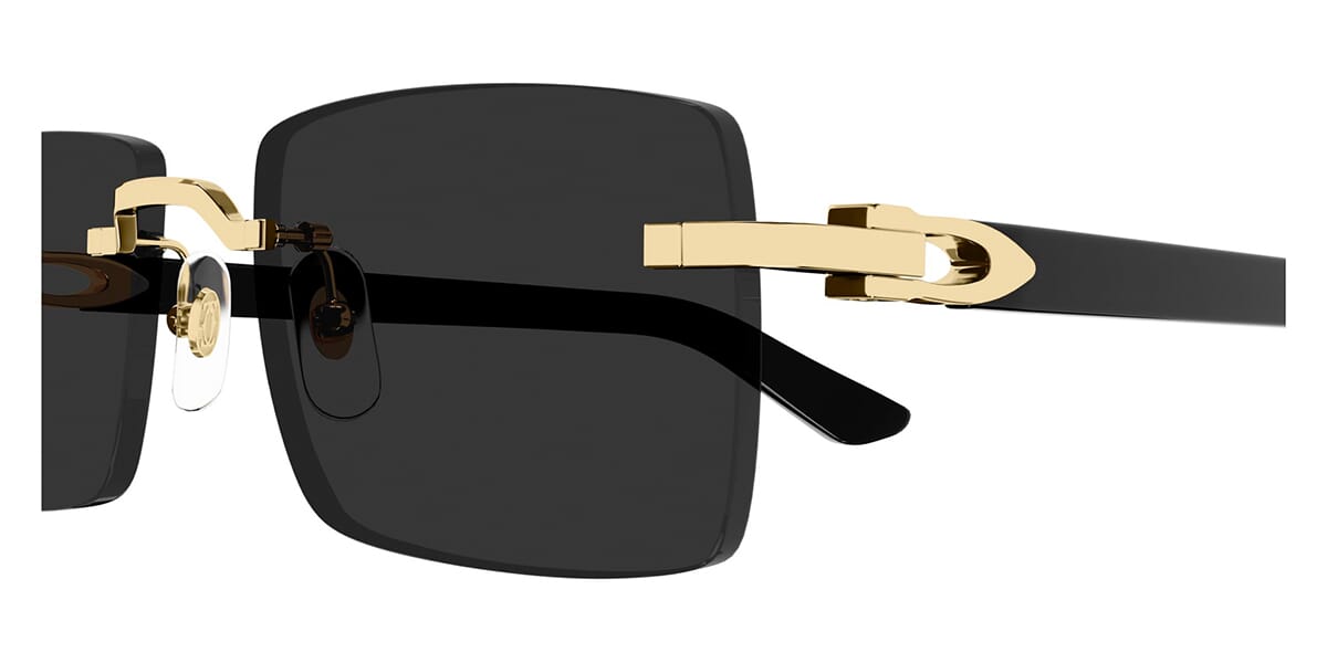 Cartier CT0579S 001 - As Seen On Wu Chun & Guè Pequeno