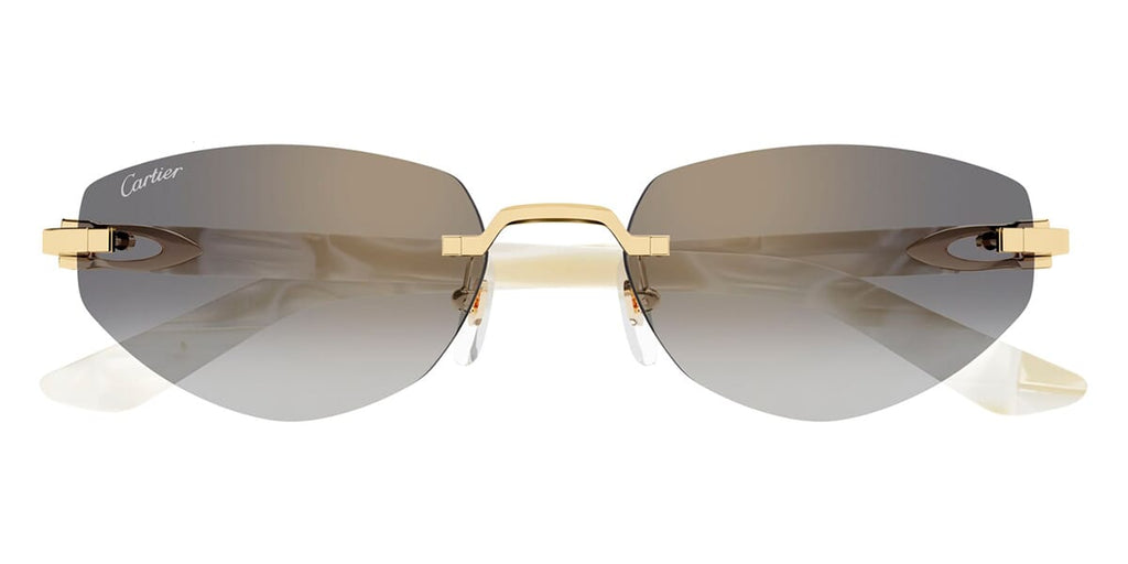 Cartier CT0580S 003