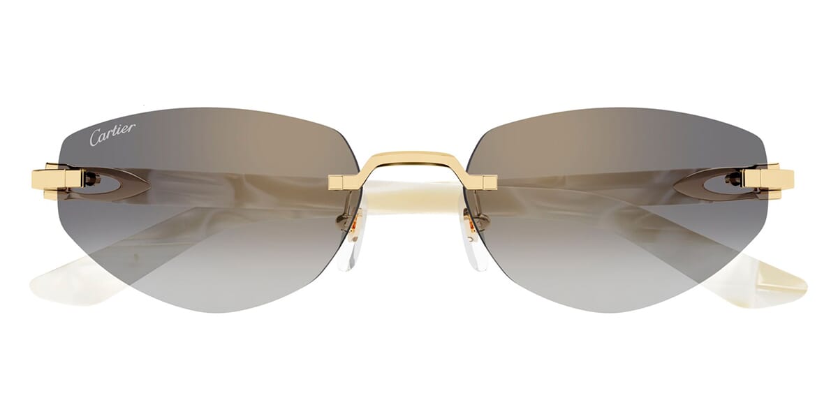 Cartier CT0580S 003