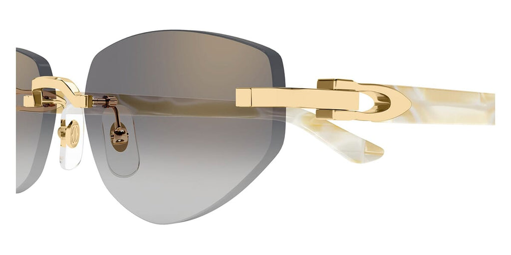 Cartier CT0580S 003