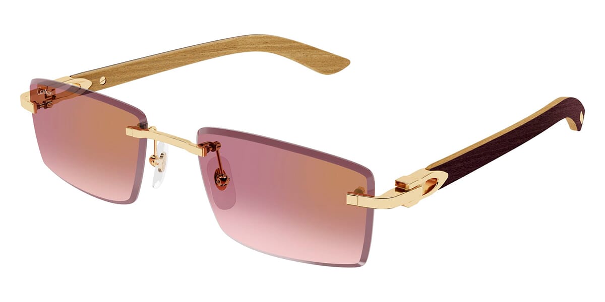 Cartier CT0582S 002