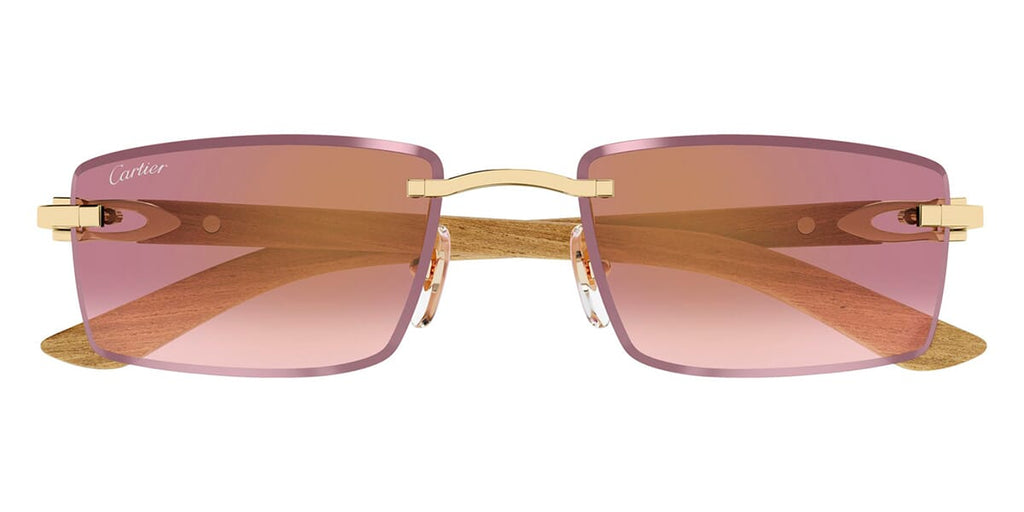 Cartier CT0582S 002
