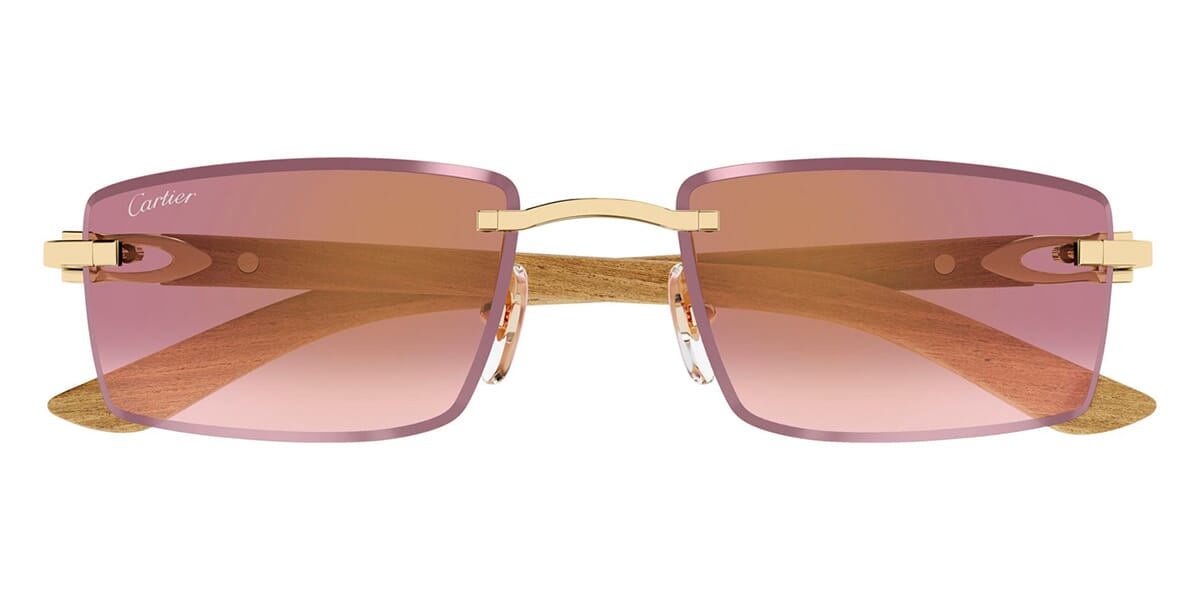 Cartier CT0582S 002
