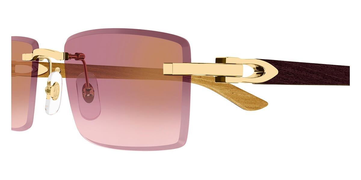 Cartier CT0582S 002