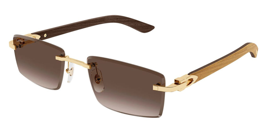 Cartier CT0582S 003