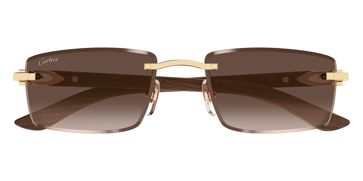 Cartier CT0582S 003