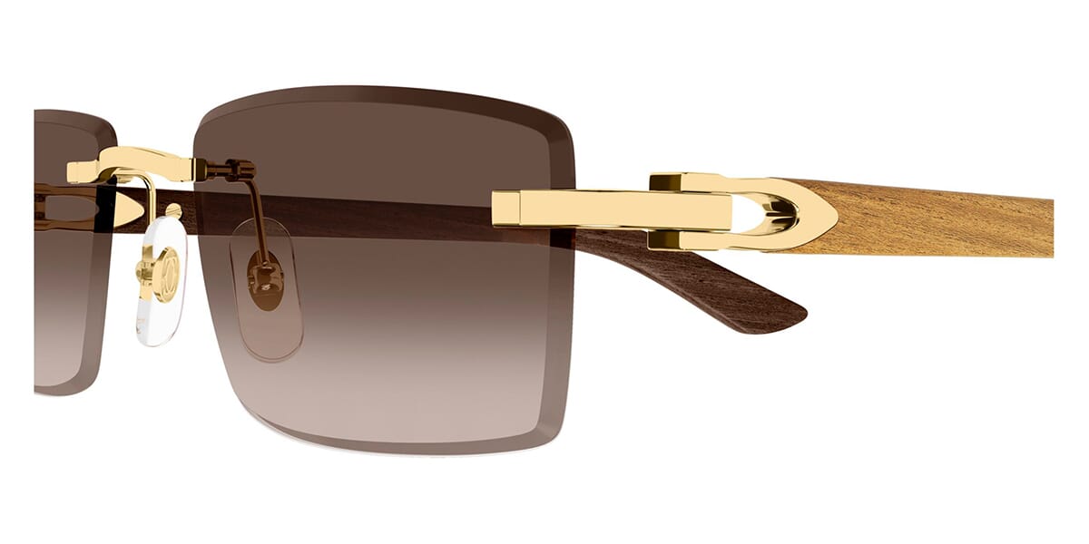 Cartier CT0582S 003