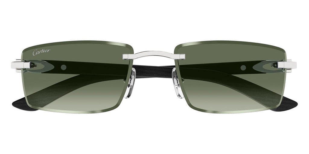 Cartier CT0582S 005