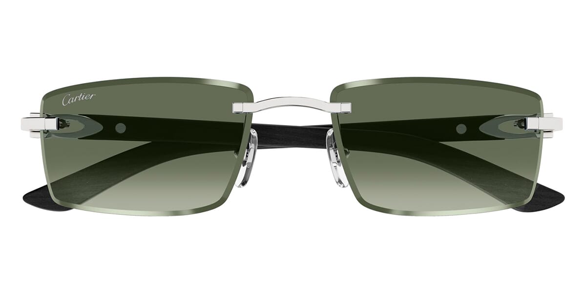 Cartier CT0582S 005