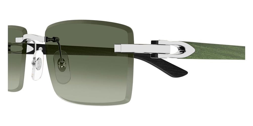 Cartier CT0582S 005