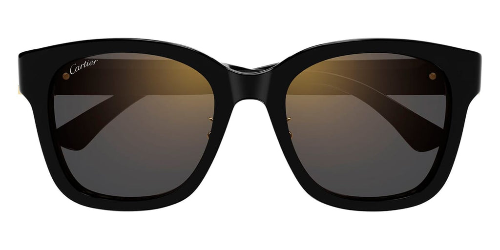 Cartier CT0589SA 001