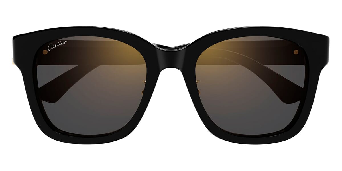Cartier CT0589SA 001