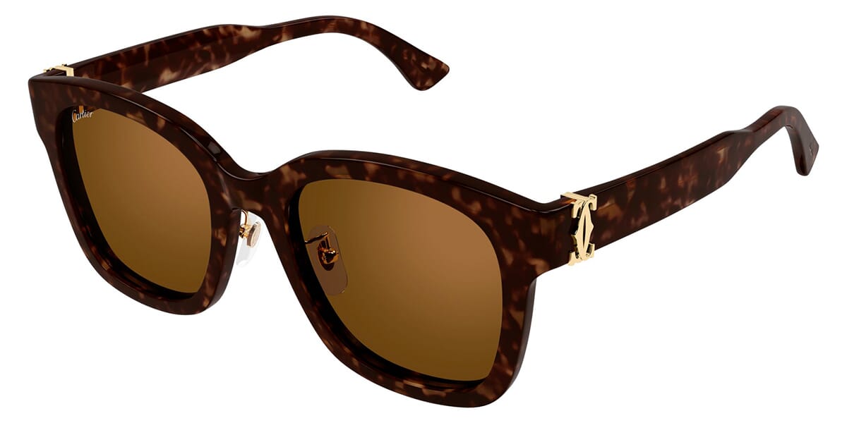 Cartier CT0589SA 002