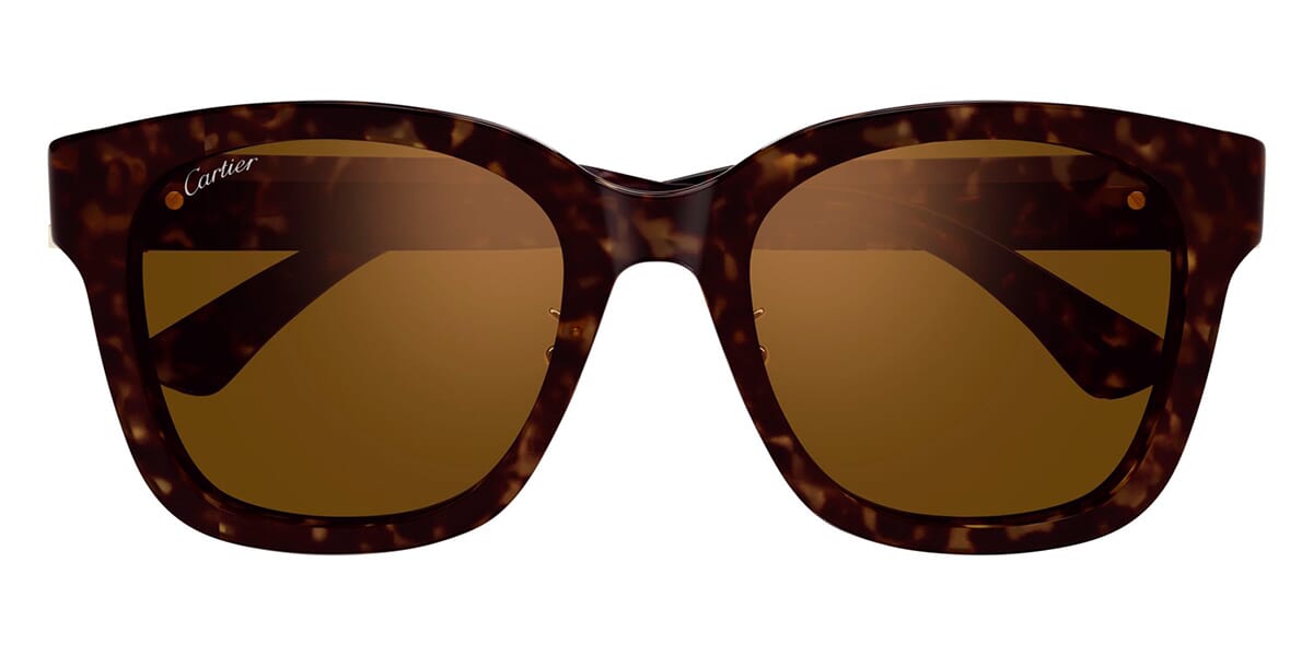 Cartier CT0589SA 002