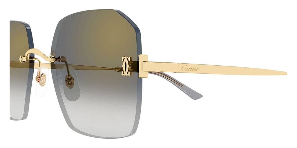 Cartier CT0591S 001