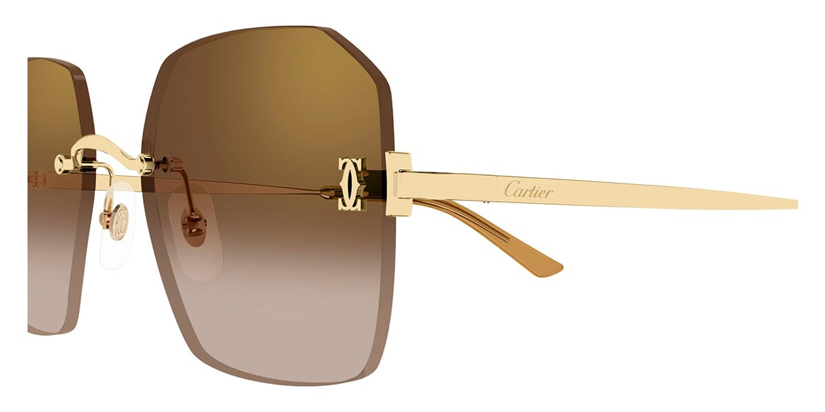 Cartier CT0591S 002