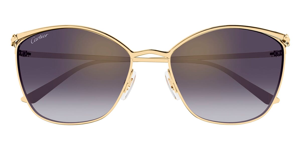 Cartier CT0595S 004