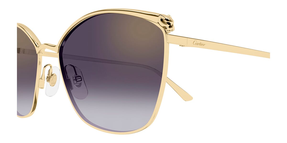 Cartier CT0595S 004