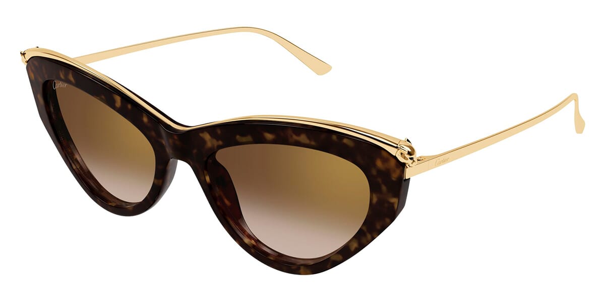 Cartier CT0596S 002