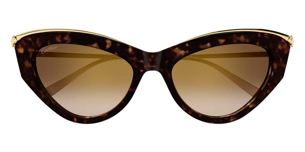 Cartier CT0596S 002