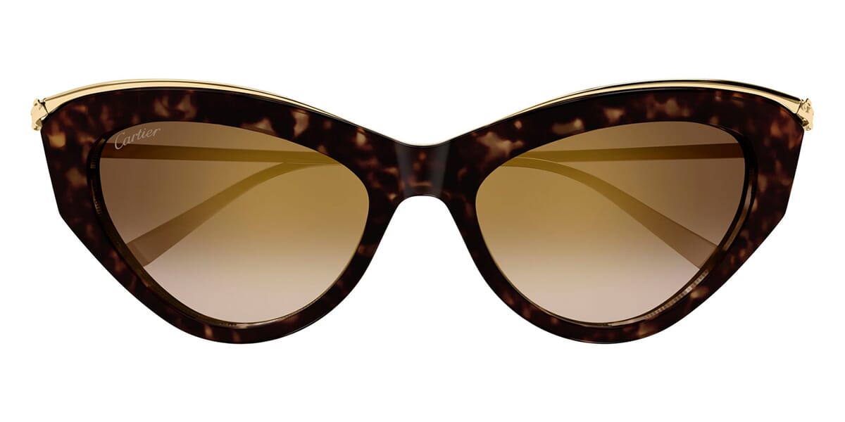 Cartier CT0596S 002