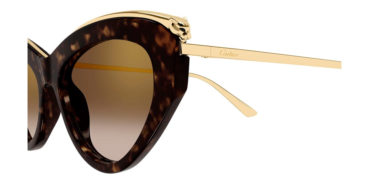Cartier CT0596S 002