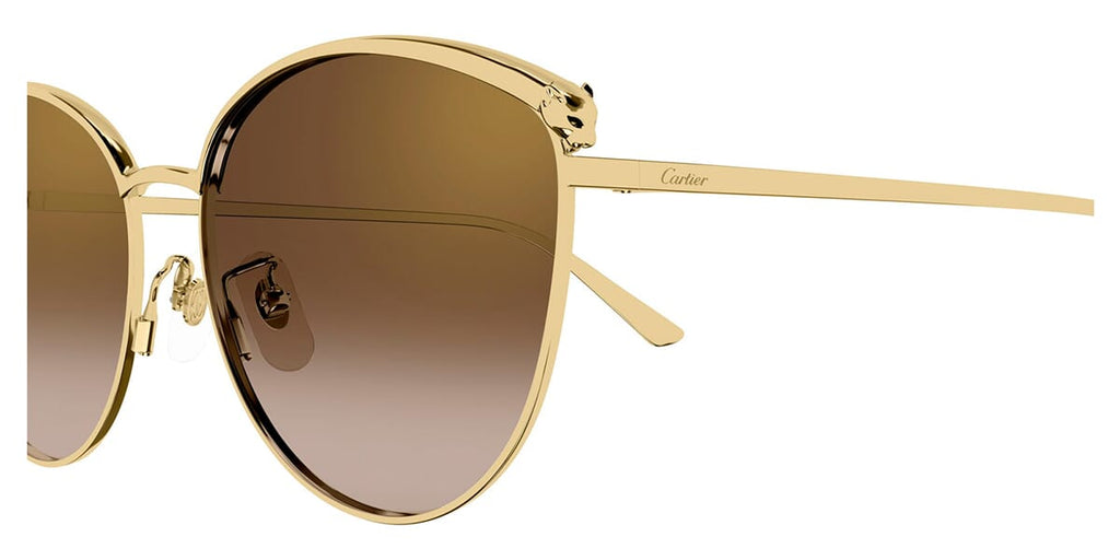Cartier CT0597SA 002