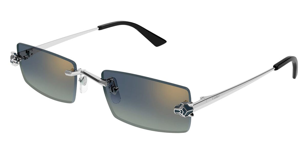 Cartier CT0598S 003