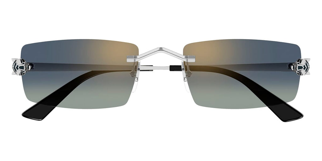 Cartier CT0598S 003