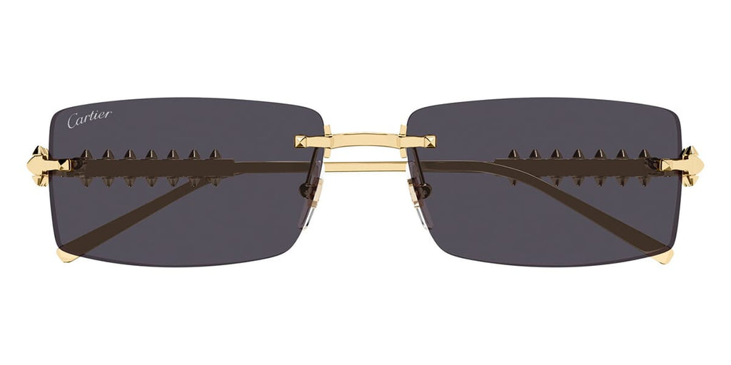 Cartier CT0604S 002