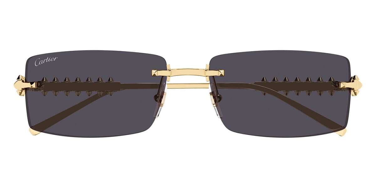 Cartier CT0604S 002