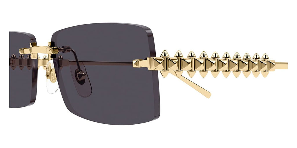 Cartier CT0604S 002